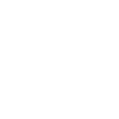 Logotipo Dr. Lizardo Canto, Cirugía General y Laparoscópica